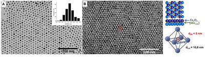 Protective Effect of Polyoxometalates in {Mo132}/Maghemite Binary Superlattices Under Annealing